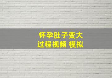 怀孕肚子变大过程视频 模拟